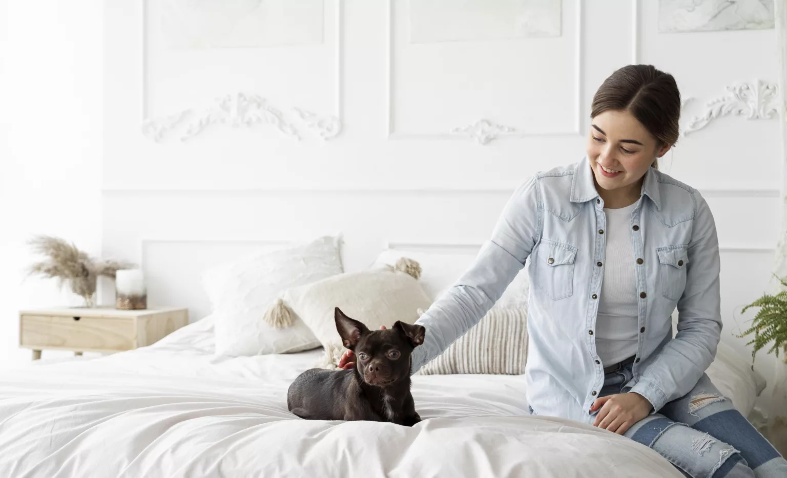 Seguro pet ganha espaço no Brasil e Ezze lança Assistência Pet com diferencial